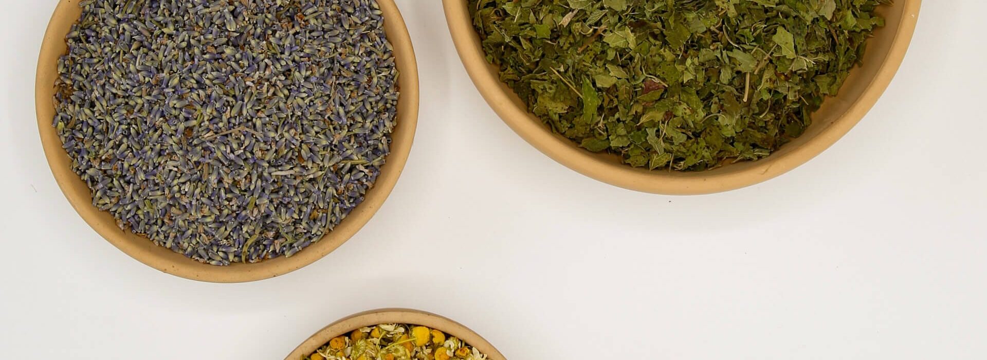 tisane tisana giardino delle erbe casola valsenio